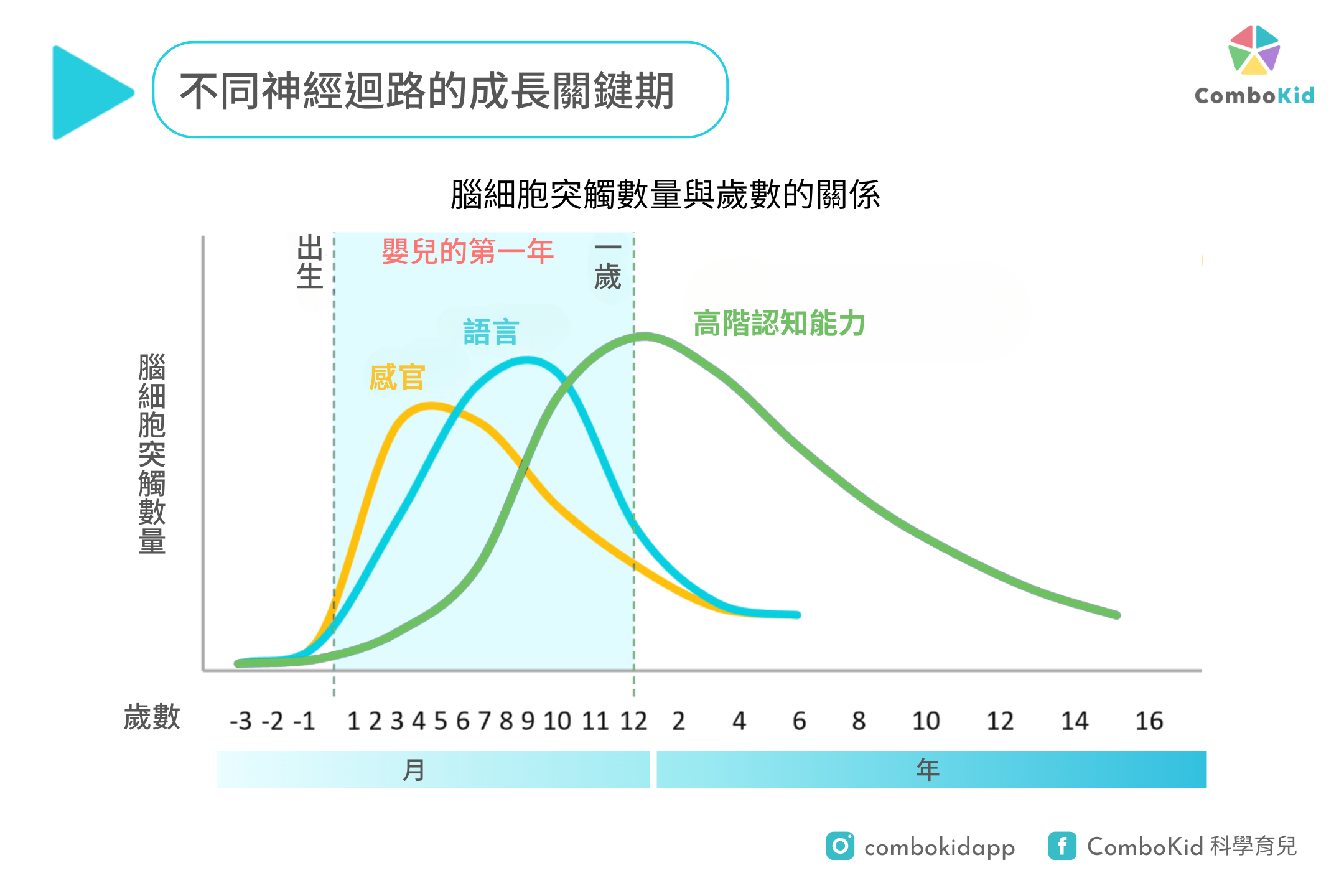 brain_dev_graph