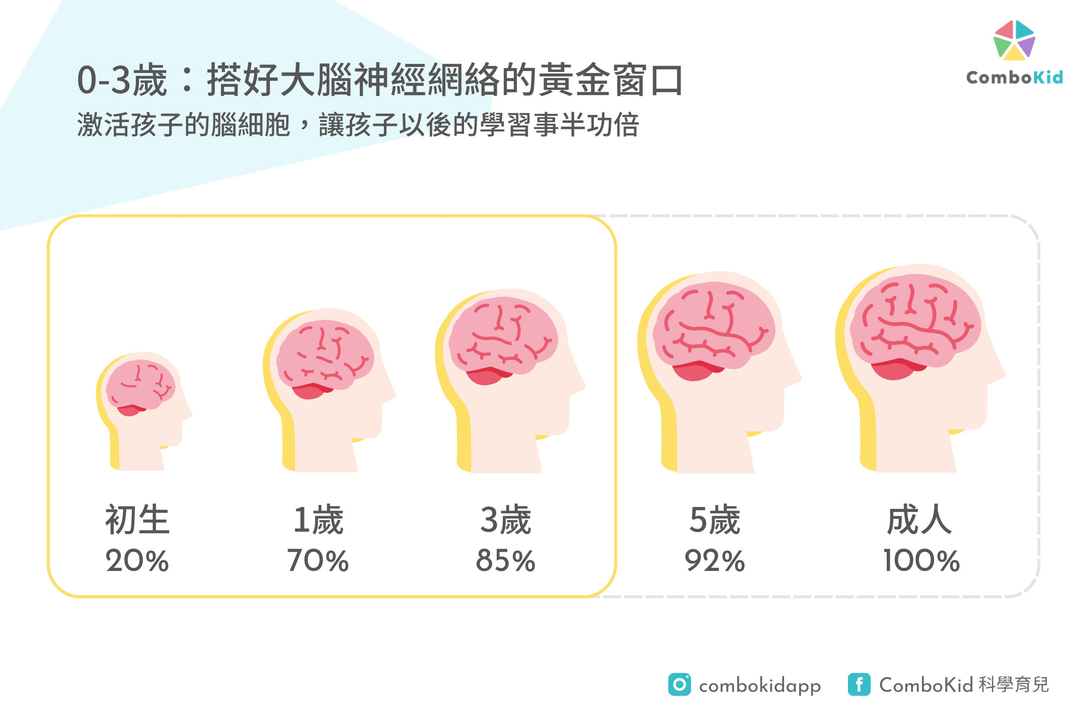 brain_development